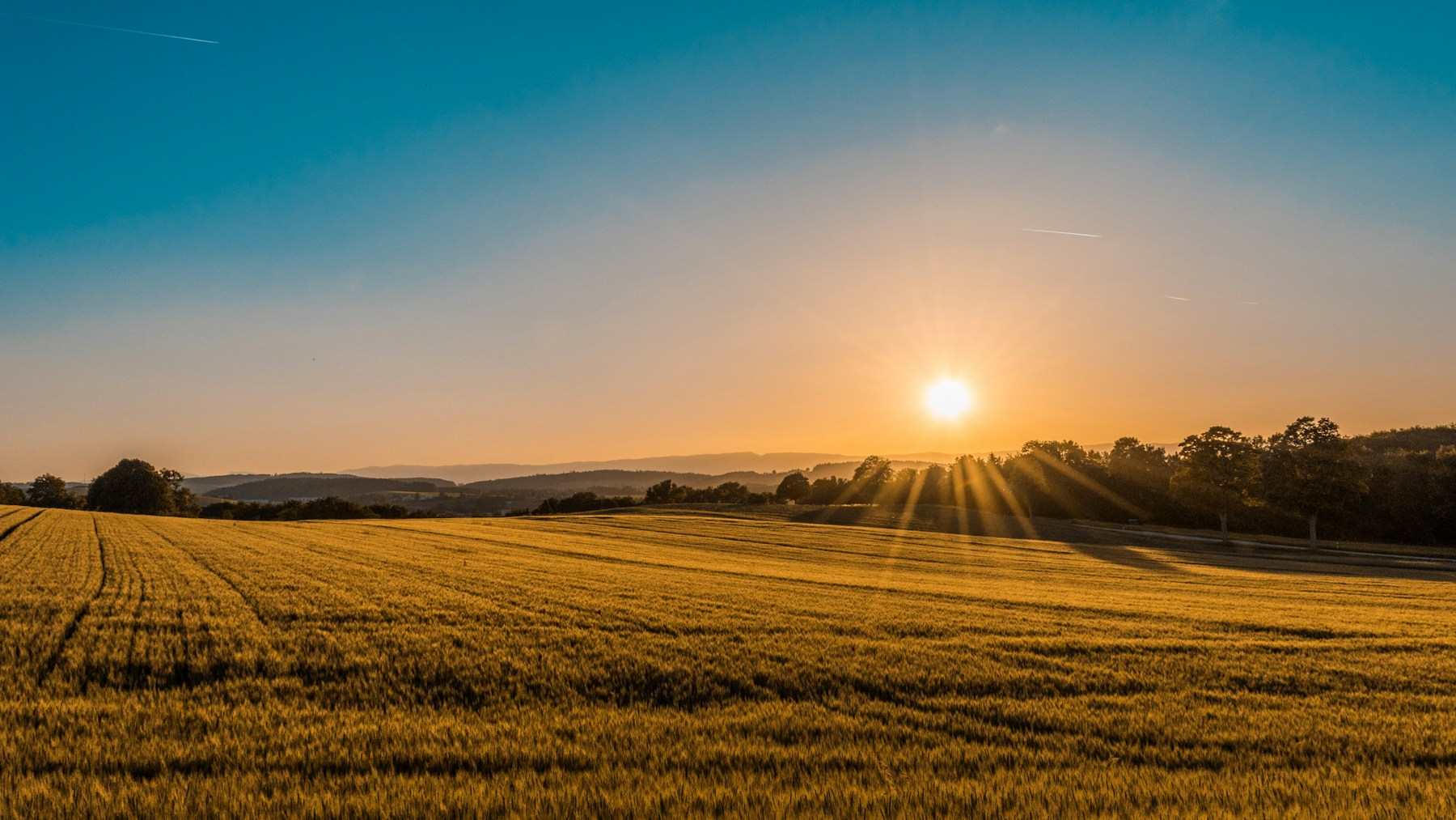 Evening sunlight falling across cultivated fields and the countryside